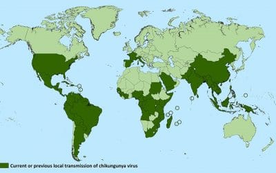 Important call for action: chikungunya outbreak