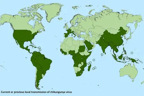 Important call for action: chikungunya outbreak
