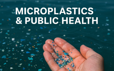 CBHRI Launches New Research Program: Microplastics & Public Health